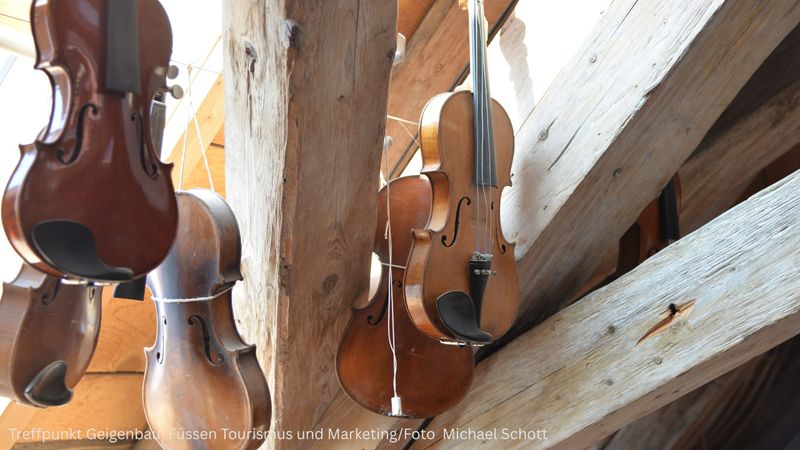 Treffpunkt Geigenbau im Barockkloster St. Mang